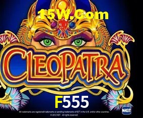 F555 Salvador - Statistics